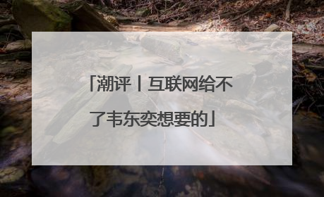 潮评丨互联网给不了韦东奕想要的